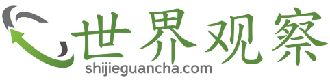 世界观察